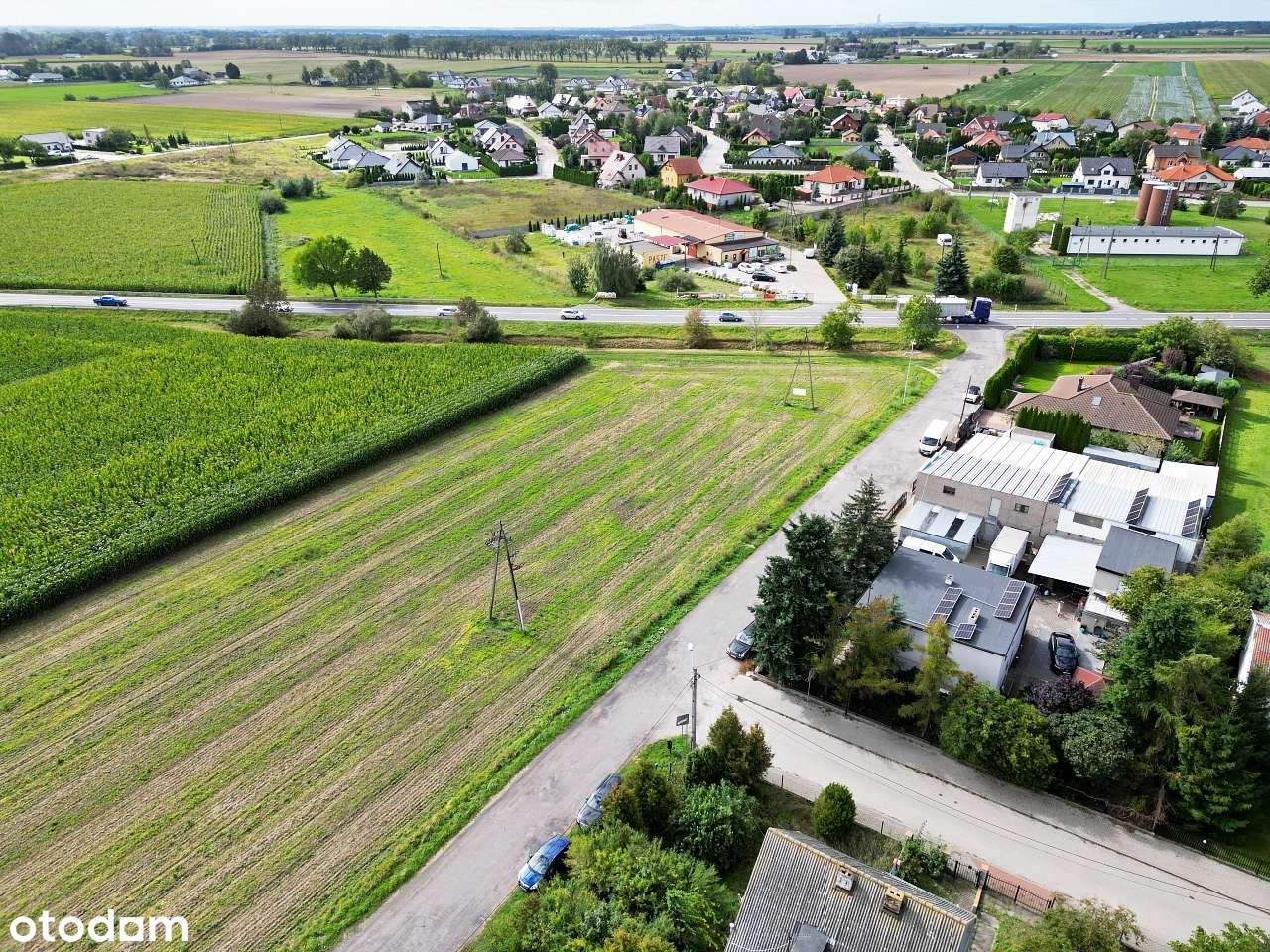 Działki z potencjałem budowlanym Złotniki Kuj. - Pełny obrazek: 3/13