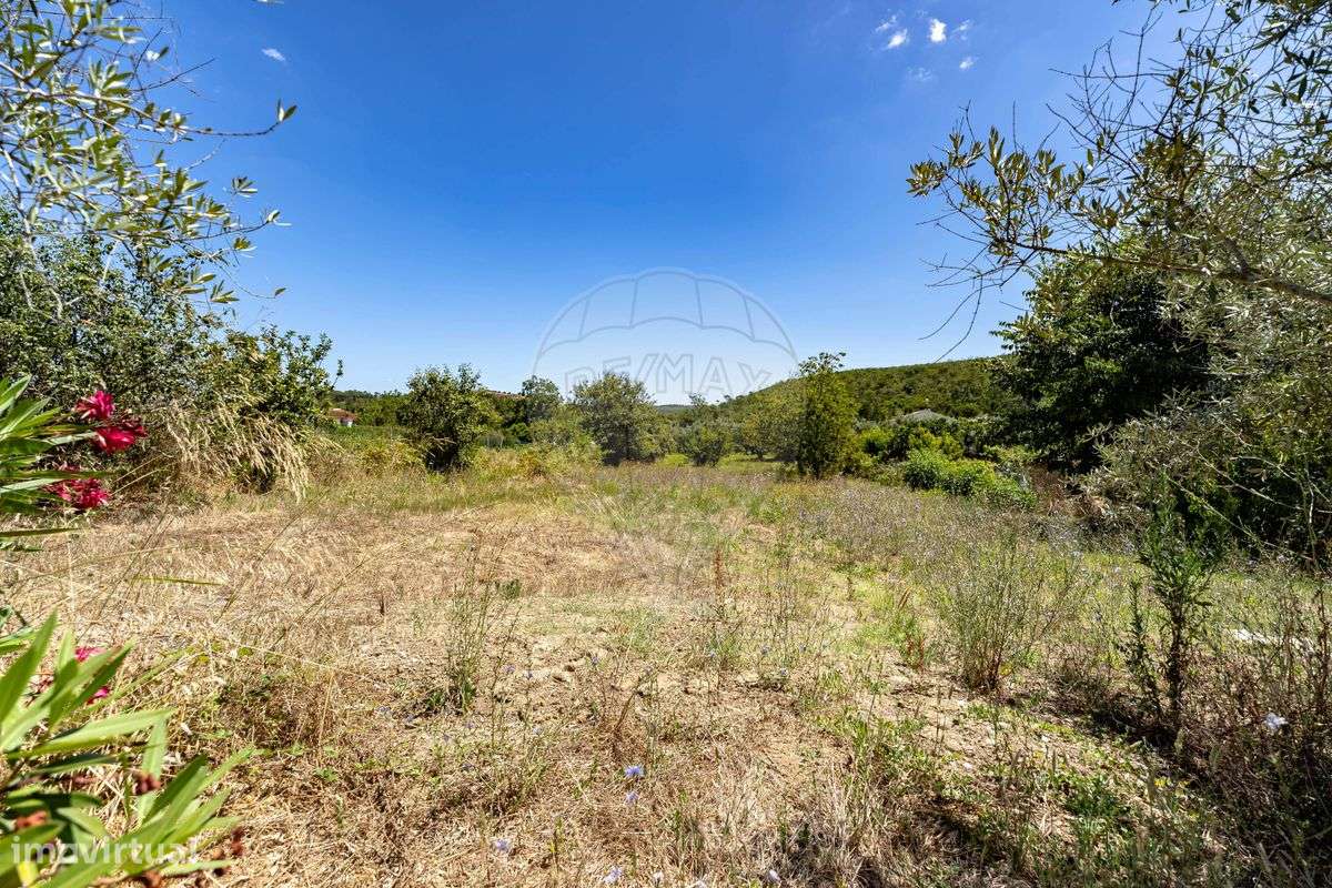 Terreno  para venda - Grande imagem: 5/8