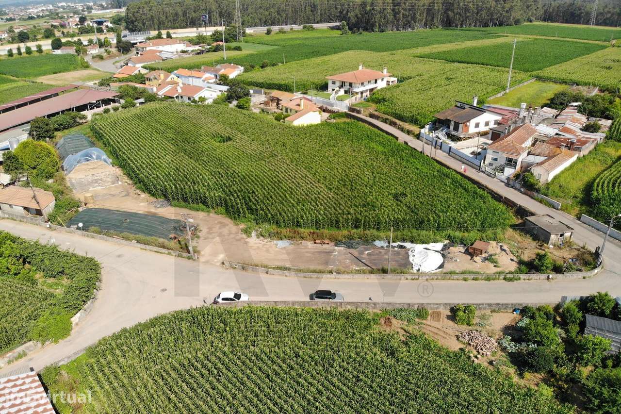 Terreno com Elevado Potencial para Investimento – Avanca, Estarreja-12