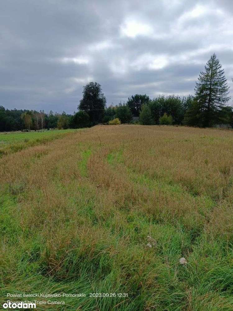 Słoneczna działka z warunkami zabudowy 716/4 | Lipinki - Pełny obrazek: 5/14
