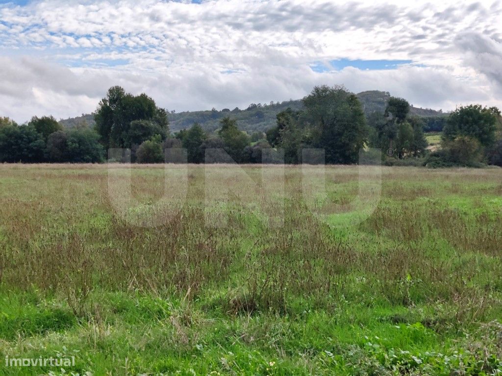 Quintinha com 4,41ha para venda em Caria, Belmonte! - Grande imagem: 1/17