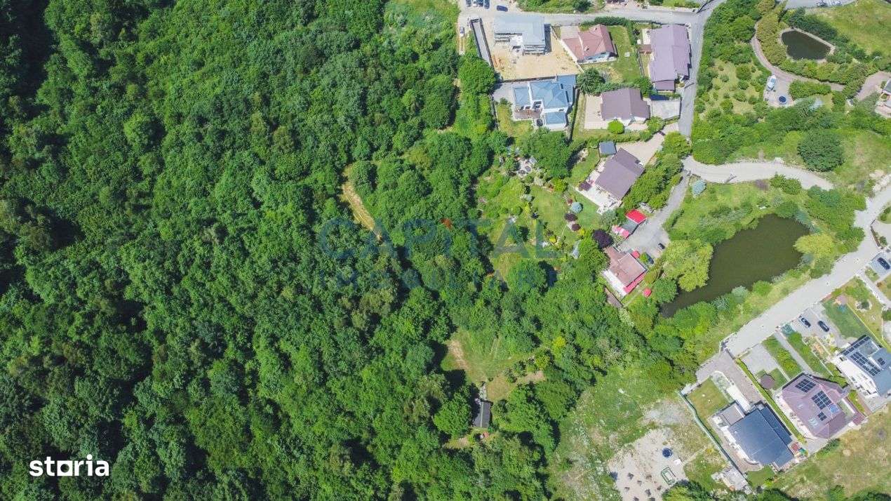 Comision 0% Teren intravilan, 7200mp, Faget - Imagine principală: 3/3