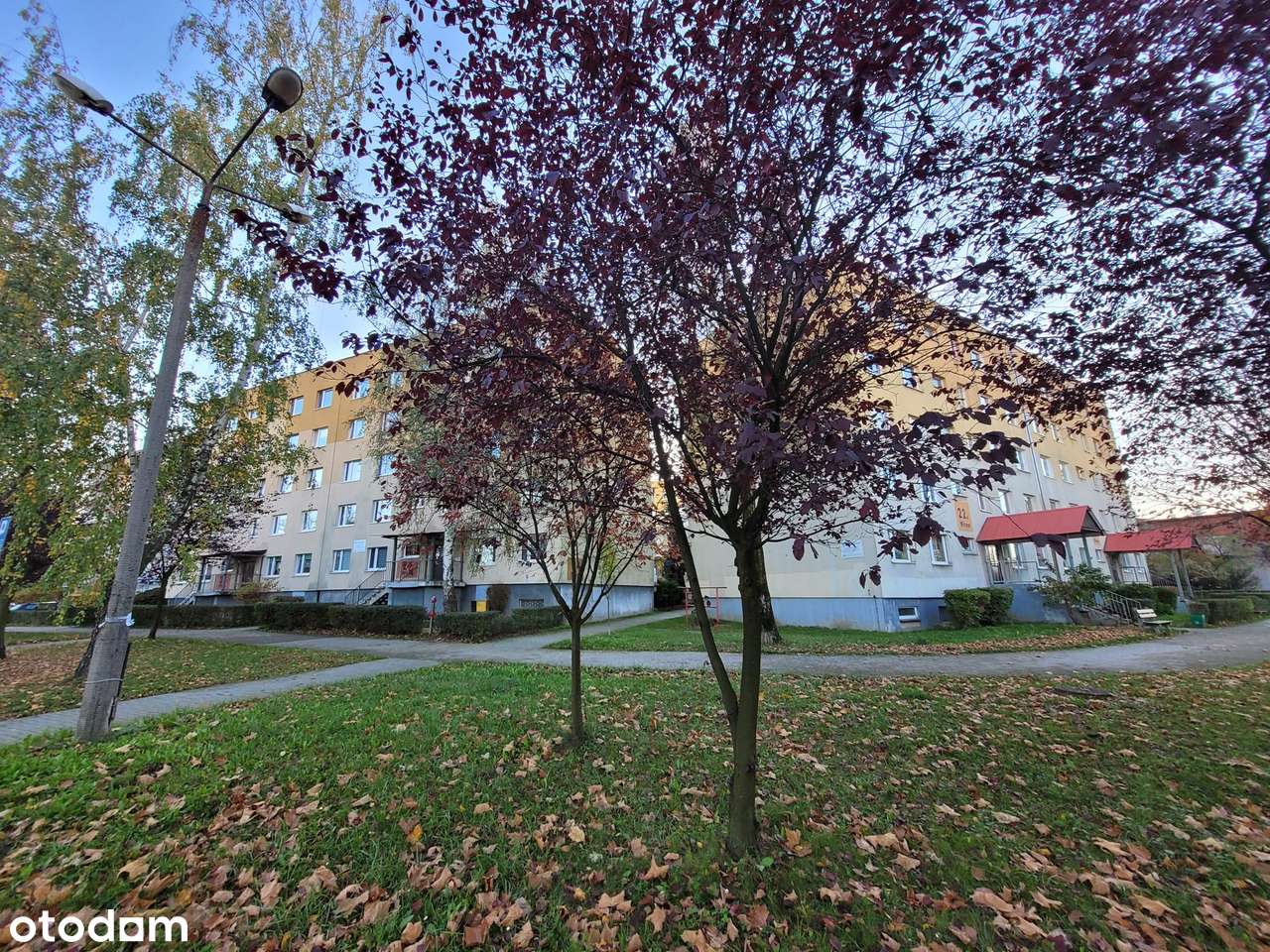 Mieszkanie Katowice 60m2 3 pokoje 1 piętro garaż BALKON Witosa-10