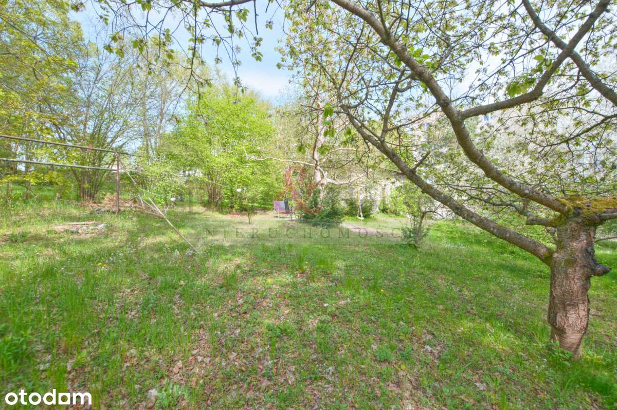 Sopot Piękna działka z domem - Pełny obrazek: 5/16