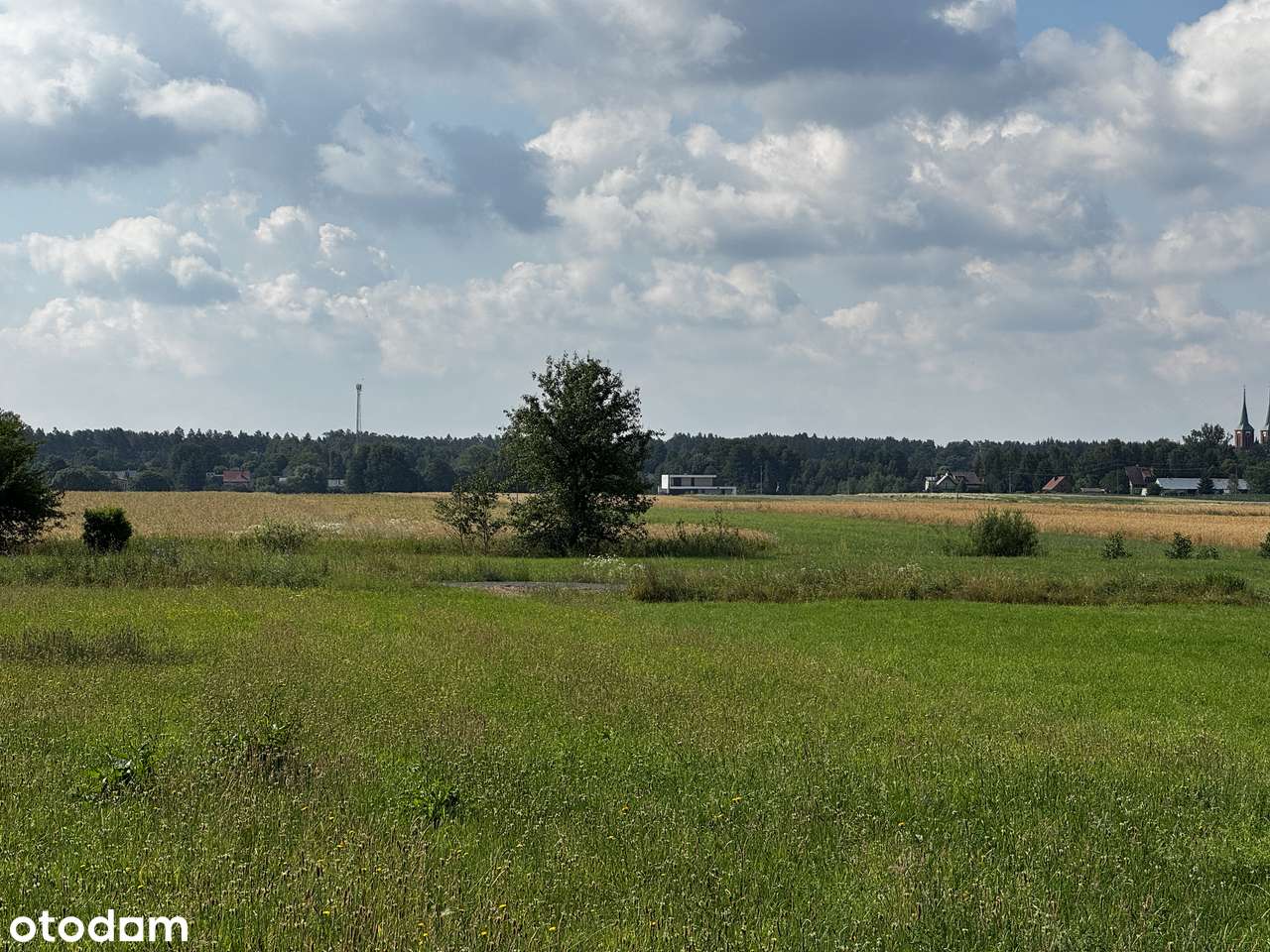 Na sprzedaż działka budowlana 109/1 – Długosiodło, przy lesie, media - Pełny obrazek: 4/8