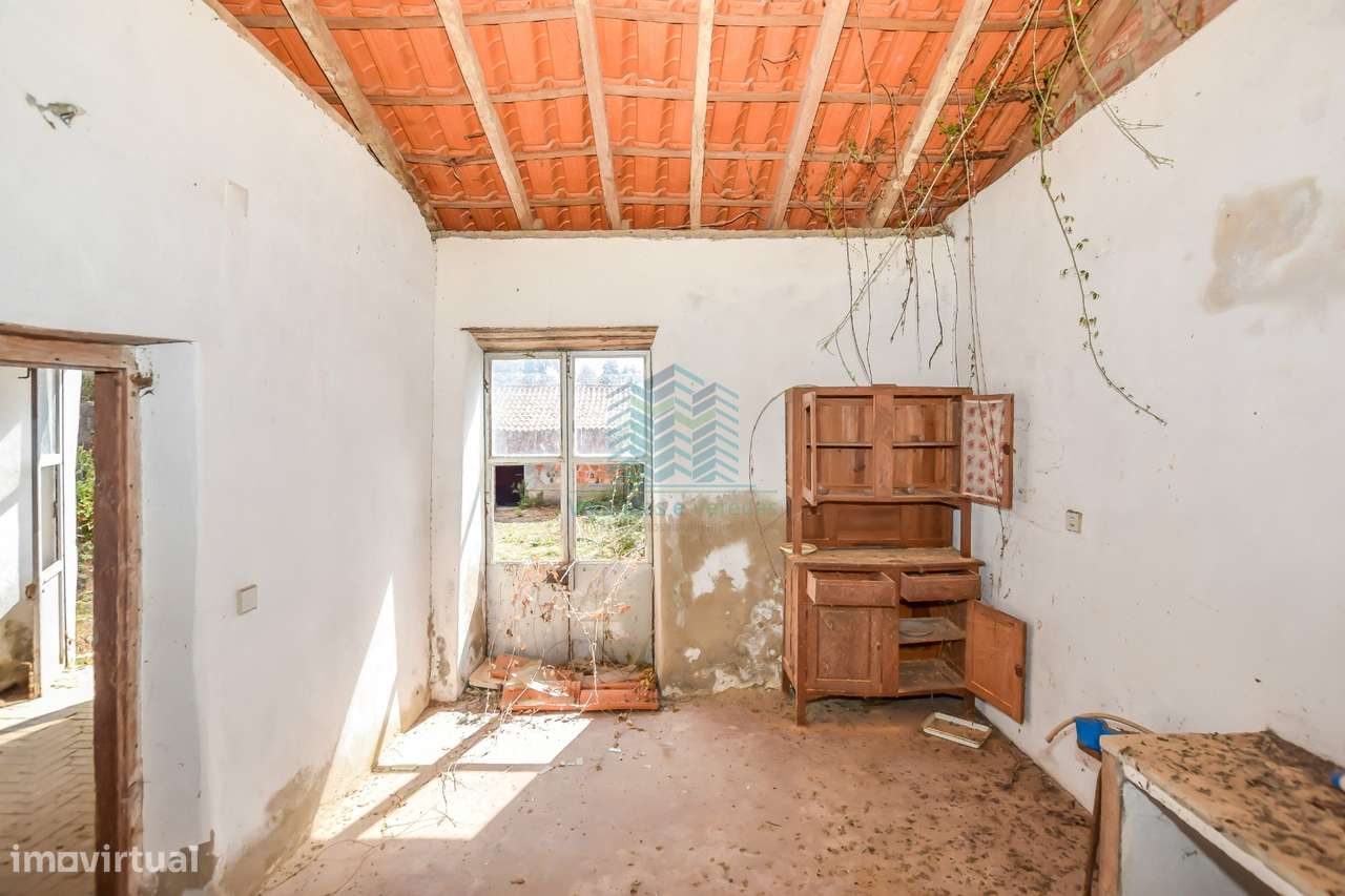 Quinta para remodelar - Torres Novas-7