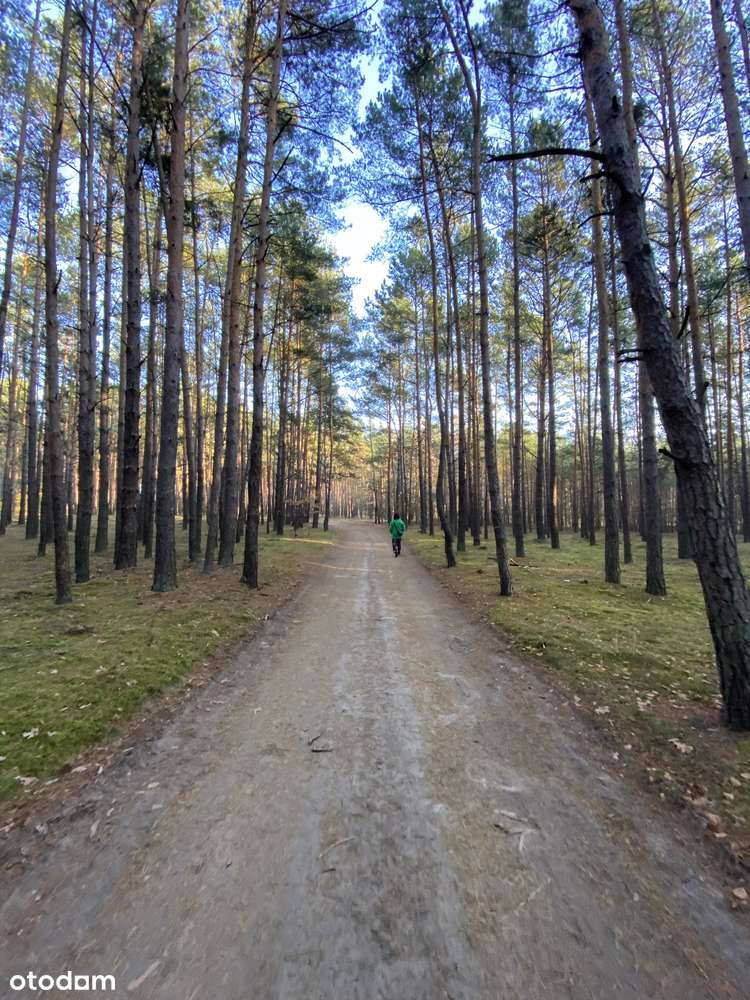 Domek 50m², działka 319 m² nad jeziorem, piękny las – Sławica - Pełny obrazek: 4/12