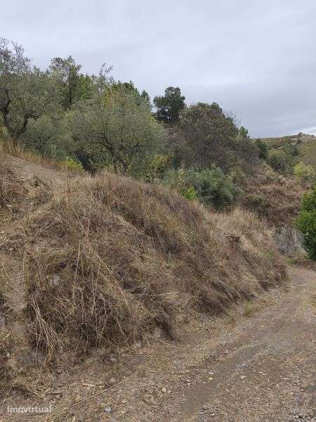 Terreno rústico em mós Moncorvo - Grande imagem: 5/8