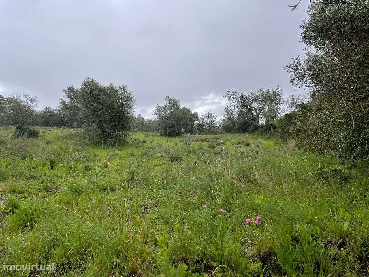 Terreno Rustico em torre Apra- Loule-8