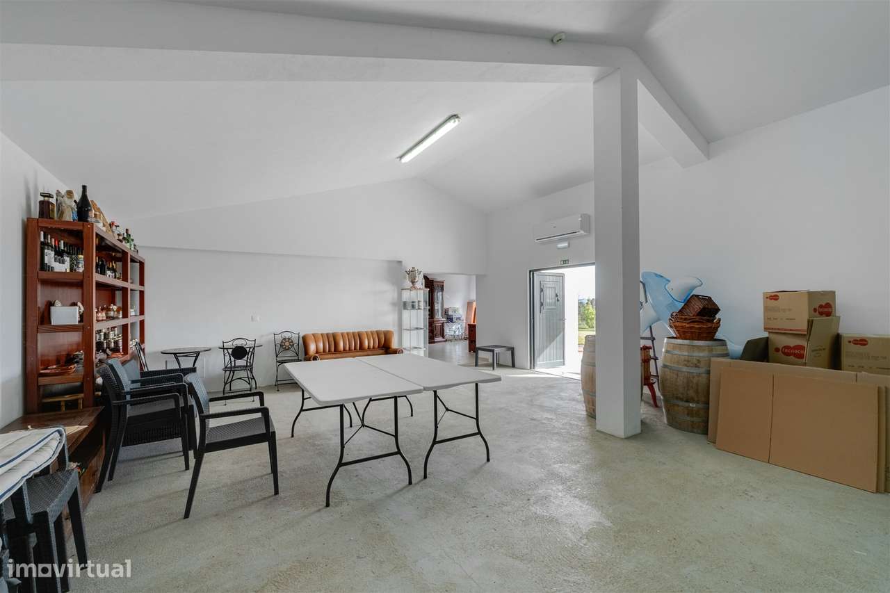 Quinta Biológica - Monte de Palma em Sao Manços com negócio.-24