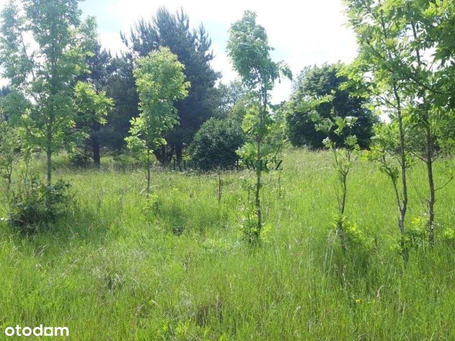 Mazury, Grzegrzółki, dz. rolna10,22ha/990tys.zł zł - Pełny obrazek: 5/9