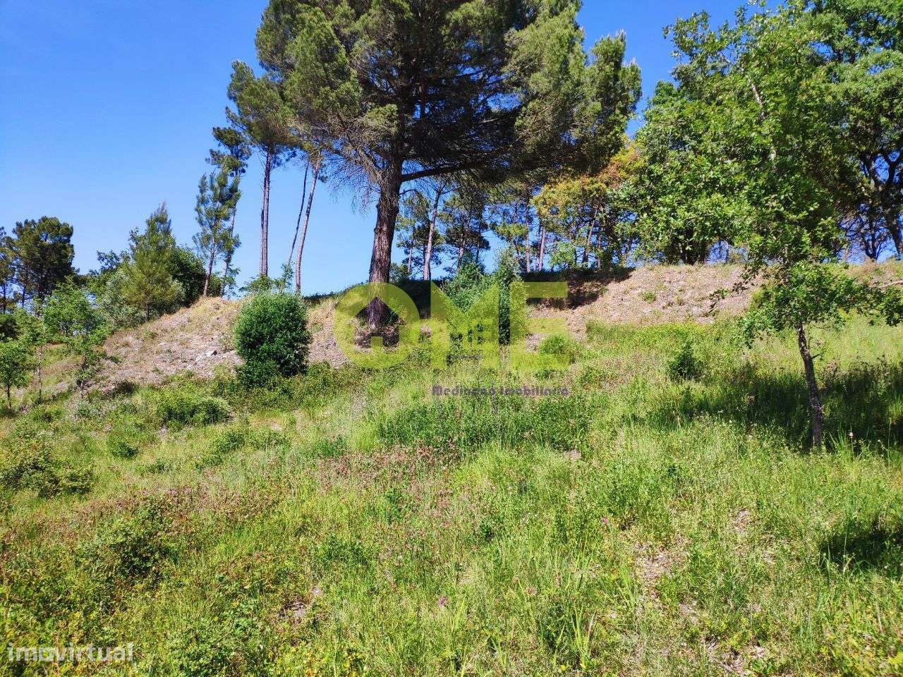 Terreno com projeto aprovado - Grande imagem: 5/13