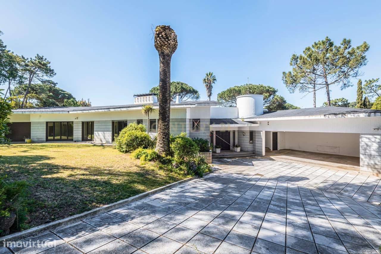 Moradia T12 e terreno 7100 m2-12