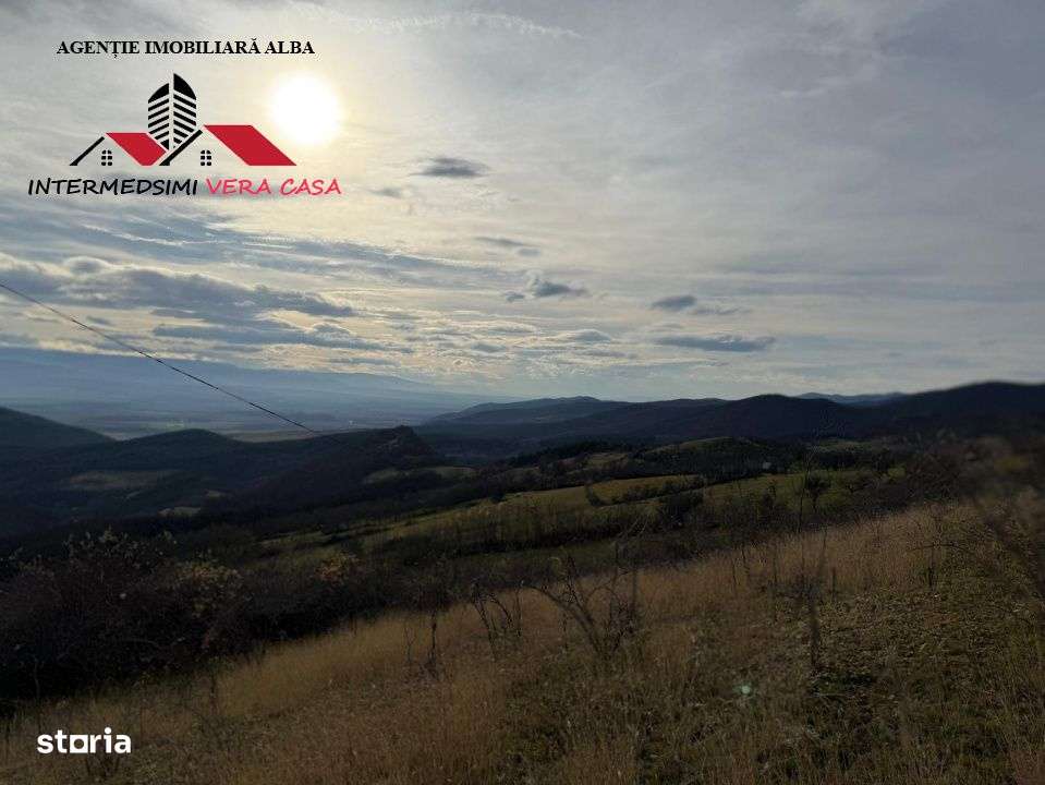 Teren extravilan de vanzare la perfiferia satului Inuri Jud Alba-6
