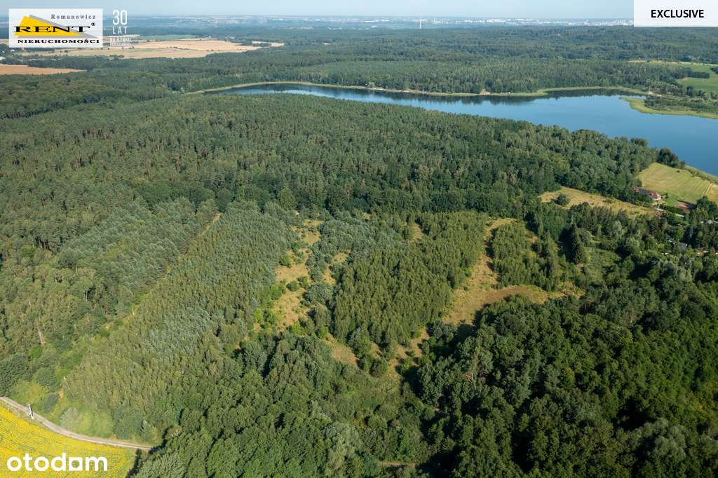 Działka wśród lasu blisko jeziora i pola golfowego - Pełny obrazek: 4/17