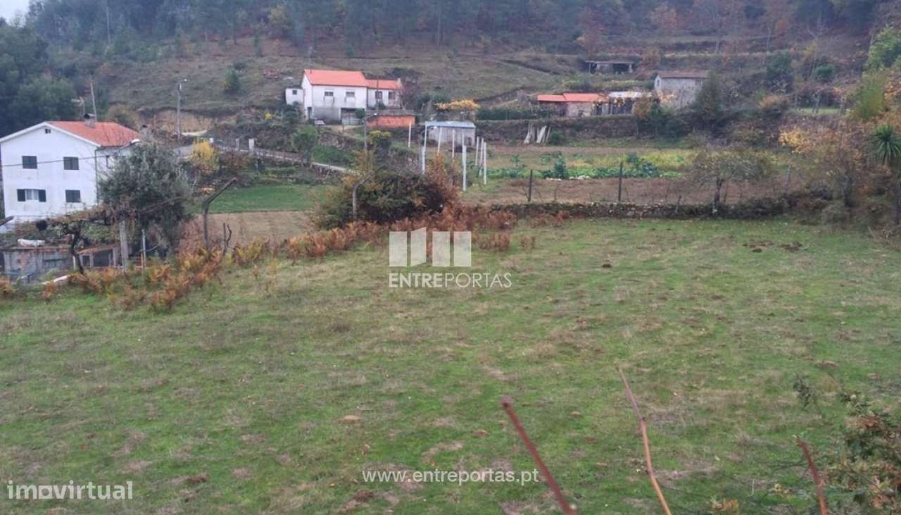 Venda Terreno, Cinfães - Grande imagem: 4/24