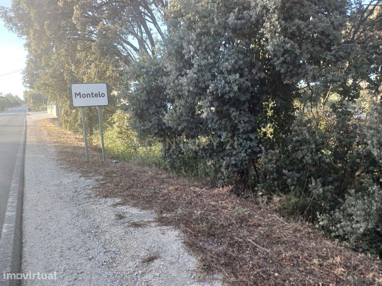 Terreno à Venda em Montelo, Fátima - Grande imagem: 5/9