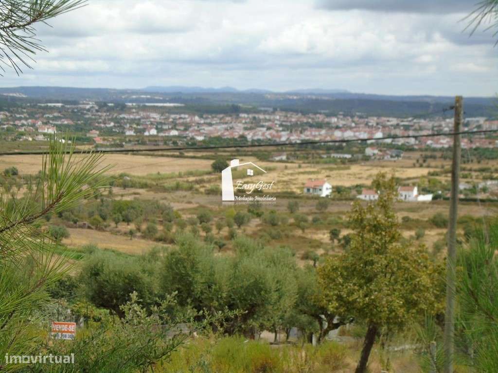 Lote de Moradia para construção em São Lourenço - Abrantes - Grande imagem: 2/7