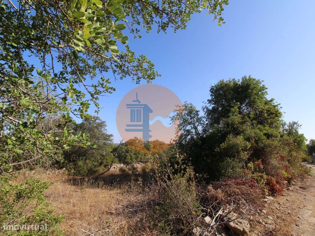 Terreno rústico com 1.640 m2 - Grande imagem: 4/13