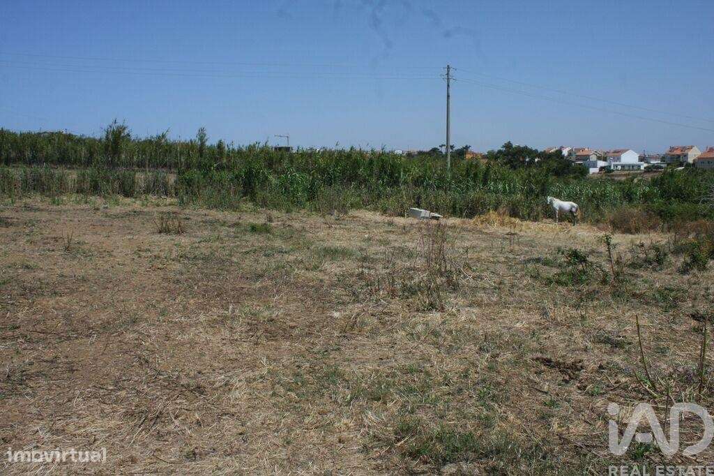 Terreno em A dos Cunhados e Maceira de 4160,00 m2 - Grande imagem: 5/14