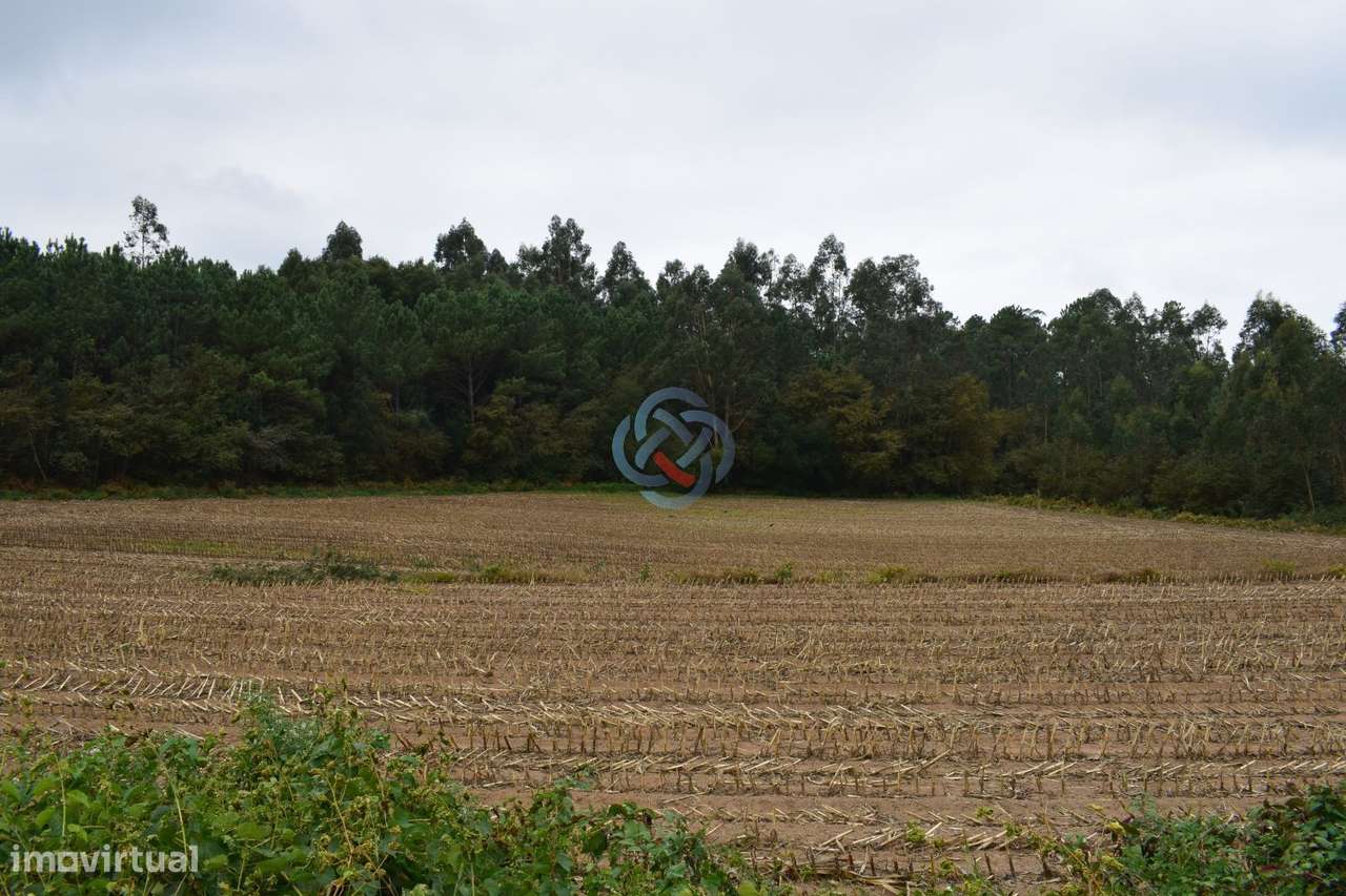 TERRENO URBANO COM PIP aprovado para CONSTRUÇÃO DE 3 Edifícios em A - Grande imagem: 2/7