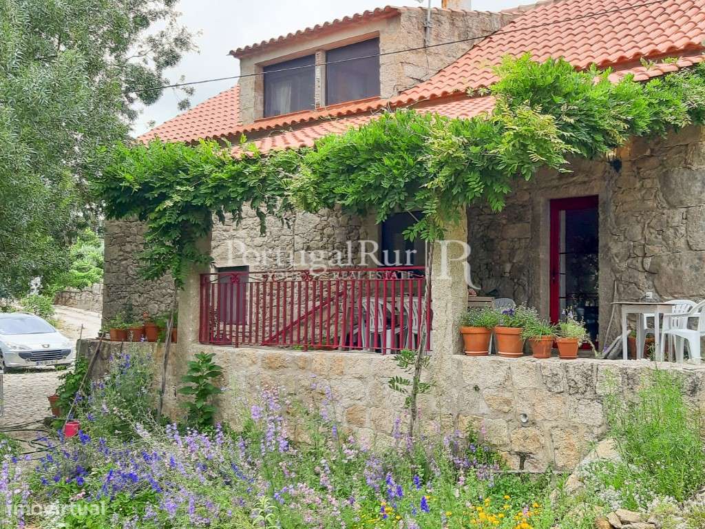 Quinta Rural 8.000 m2 - 2 Casas Habitáveis - confina com Ribeira - Grande imagem: 4/33