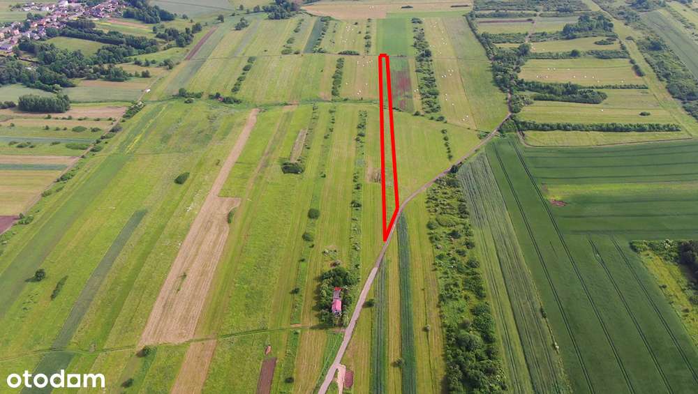 Działka rolna Poręba-Niwki-8