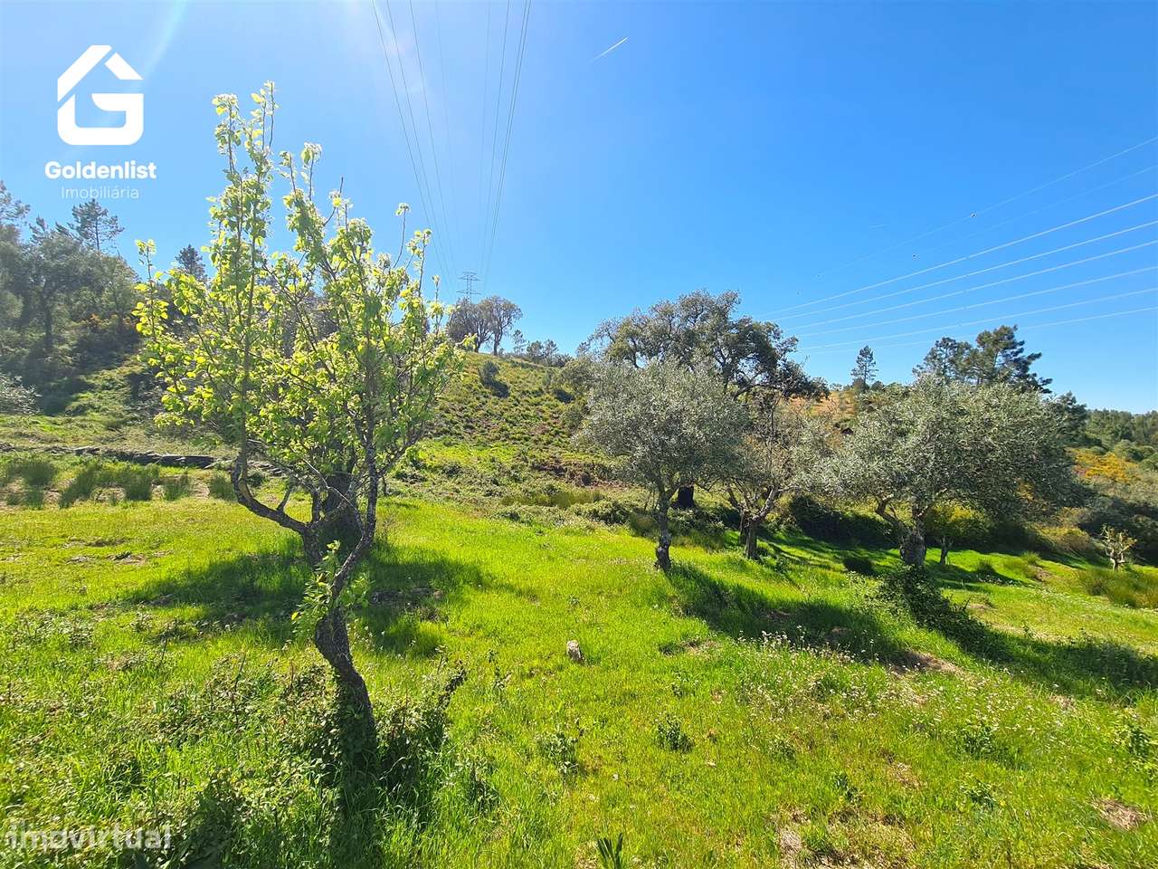 Terreno  Venda em Cebolais de Cima e Retaxo,Castelo Branco-16