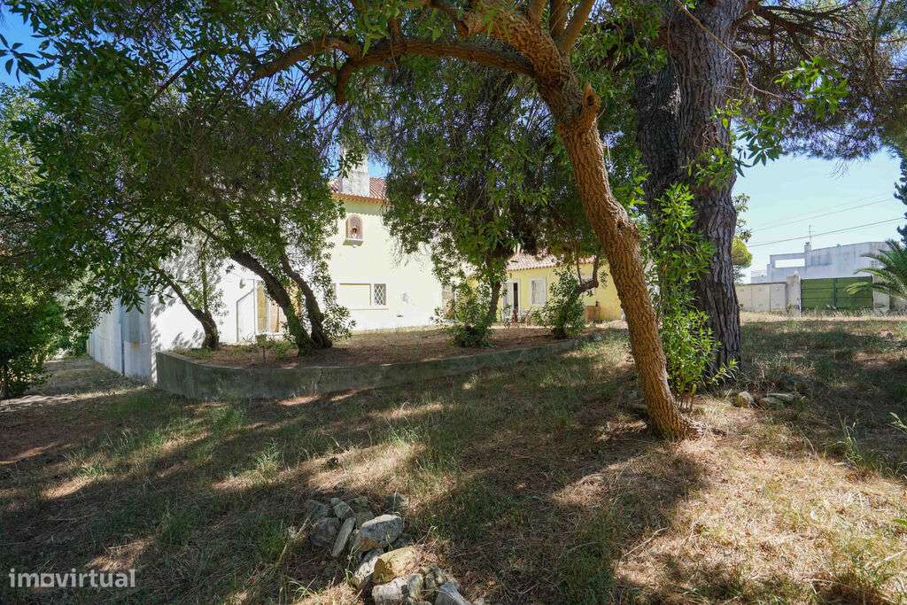 Venda Moradia - Grande imagem: 4/53