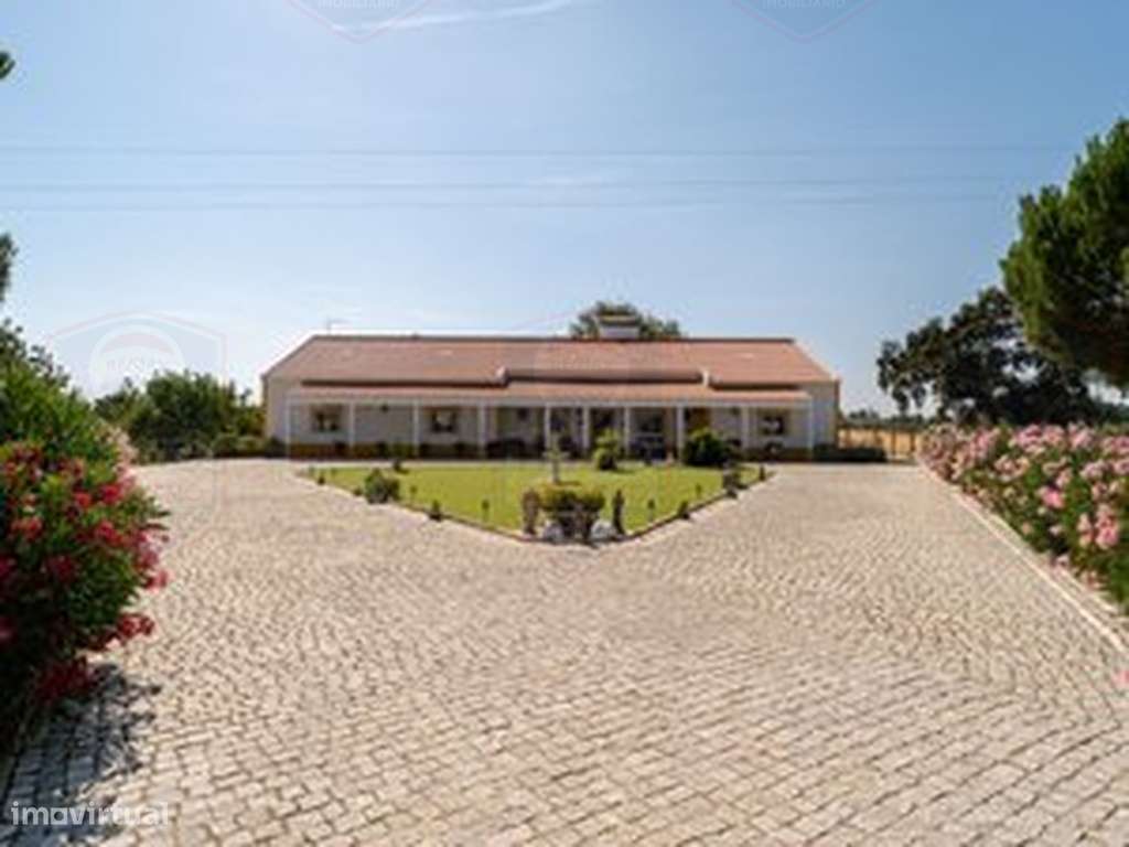 Descubra o privilégio de viver no coração do Alentejo!-10