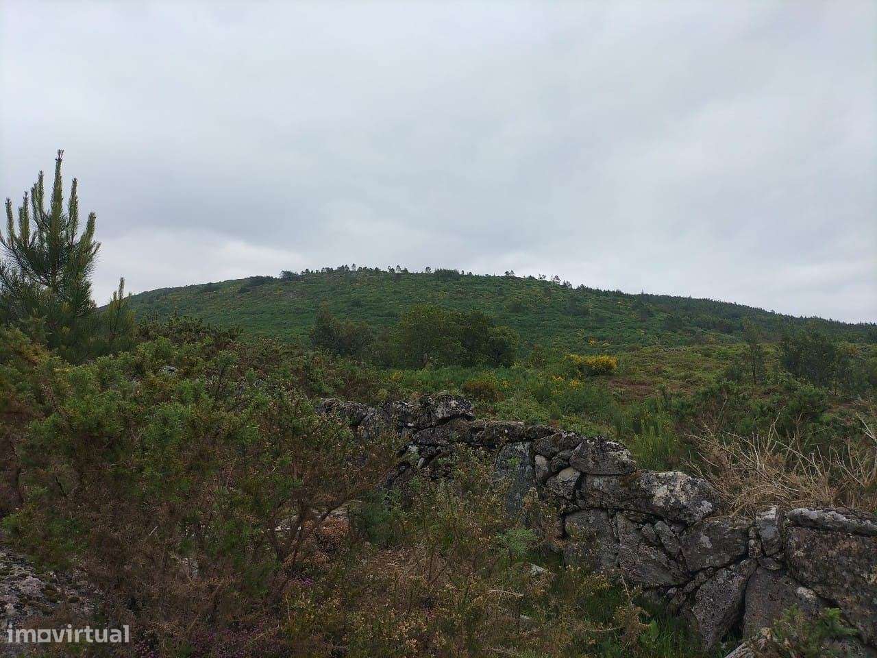 Terreno VIEIRA DO MINHO - Grande imagem: 1/3