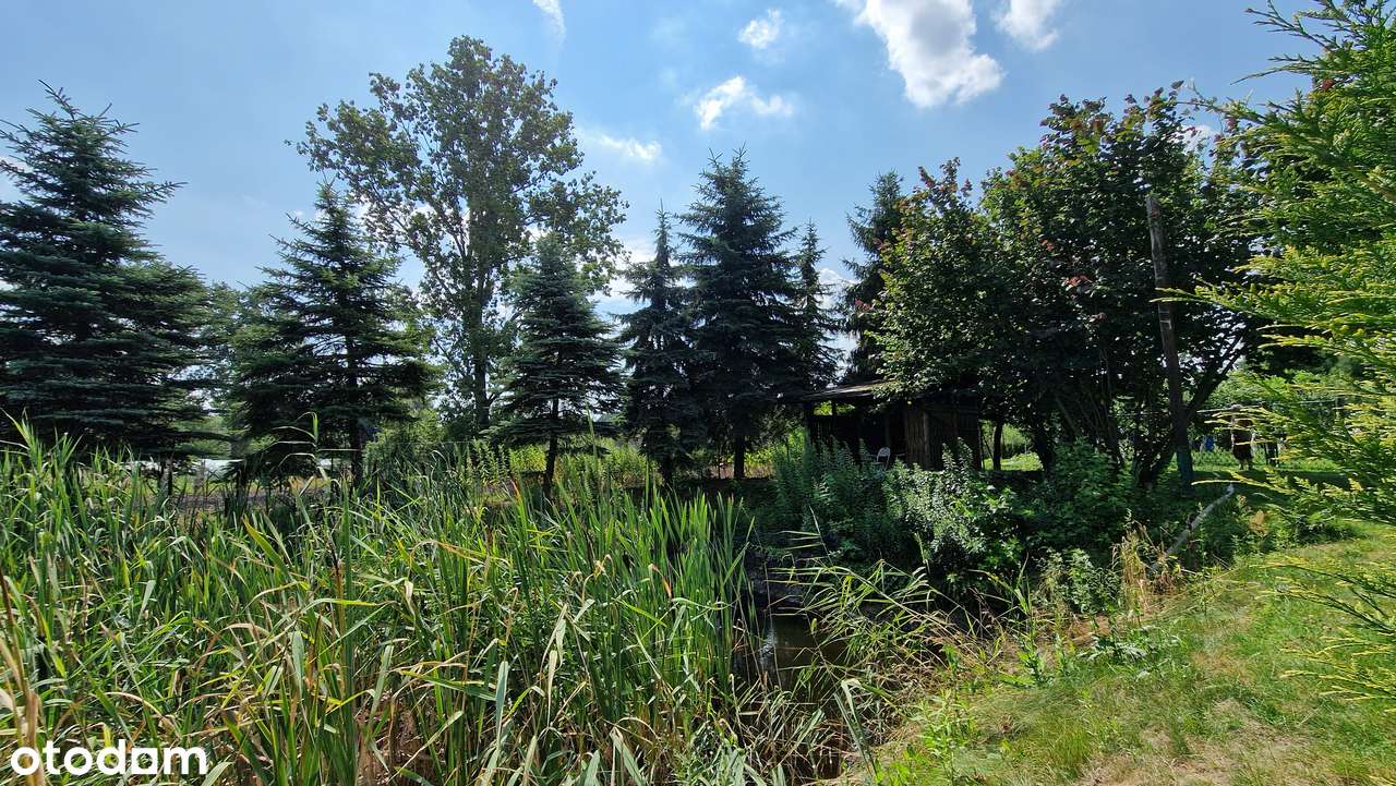 DOM JEDNORODZINNY Z DUŻĄ DZIAŁKĄ I STAWEM – MAŁYSZYN, GM. WIELUŃ-17