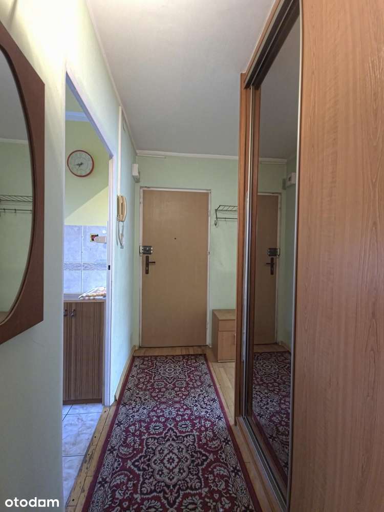 Słoneczne mieszkanie z potencjałem !-9