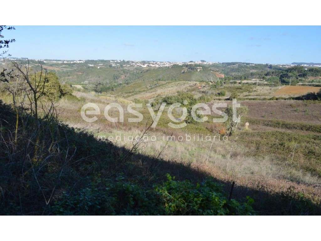 Terreno Rústico c/ 17.500m2 no Pobral - Grande imagem: 5/7