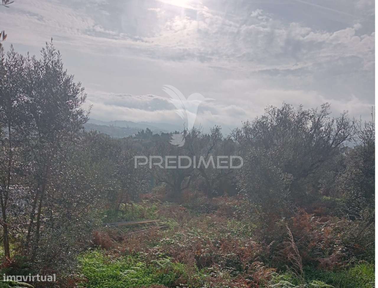 Terreno - Batalha - Grande imagem: 3/6