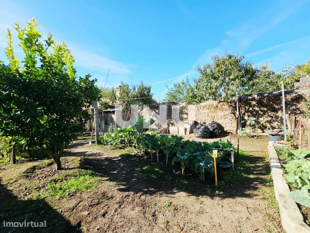 Moradia Isolada T2 - Para Investimento-18