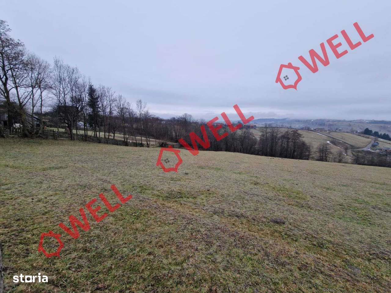 De vânzare teren extravilan și  intravilan  în loc. Barcani - Imagine principală: 4/11