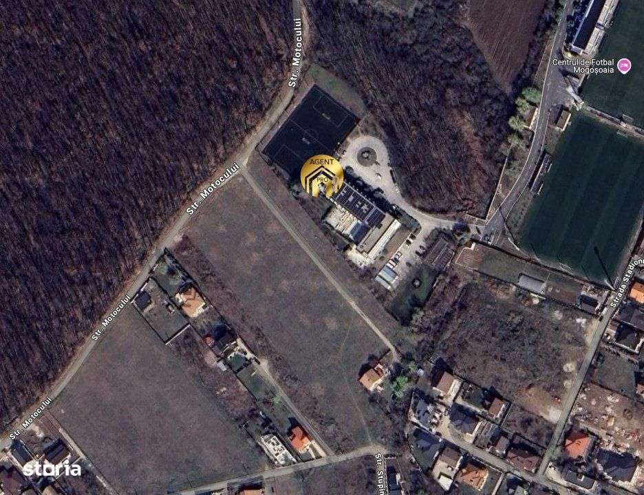 Teren intravilan 15.000mp langa FRF si Padure - Mogosoaia - Imagine principală: 3/7