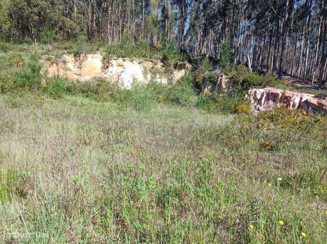 Terreno  para venda - Grande imagem: 3/7