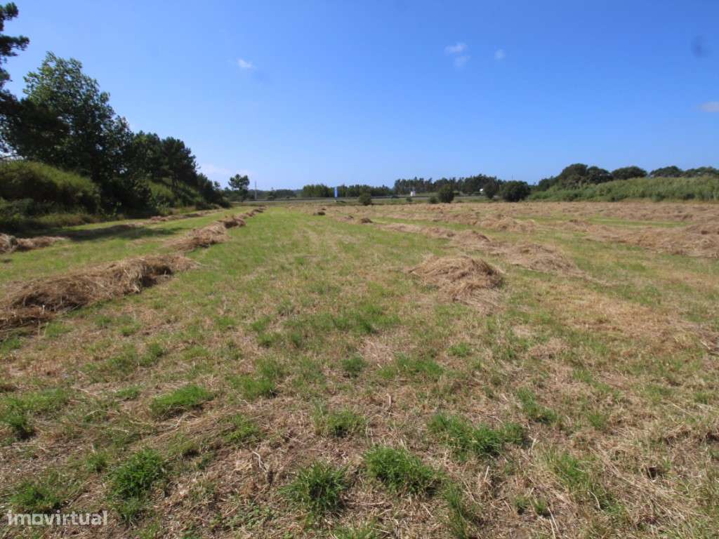 Terreno com 16947m2 - Grande imagem: 4/5