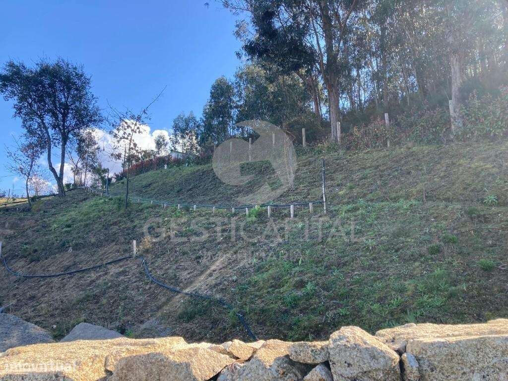 Oportunidade de Investimento: Moradia já com  Estrutura em Soalhães –-10