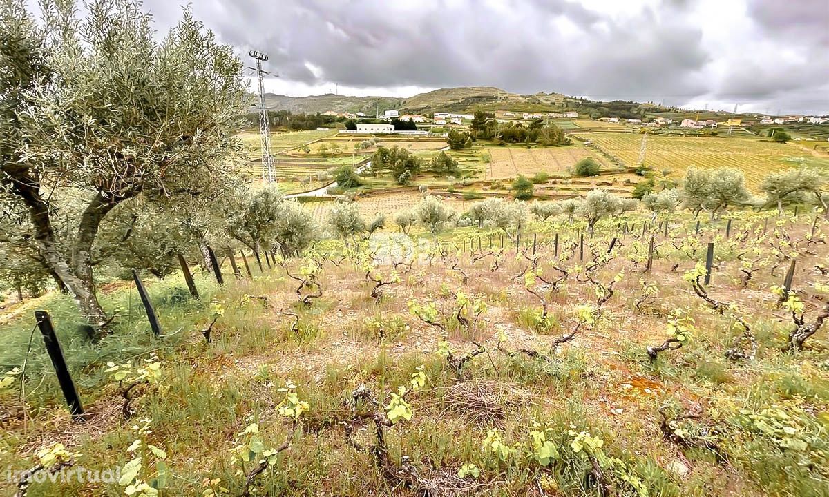 Terreno agrícola 6483m² -  Barcos