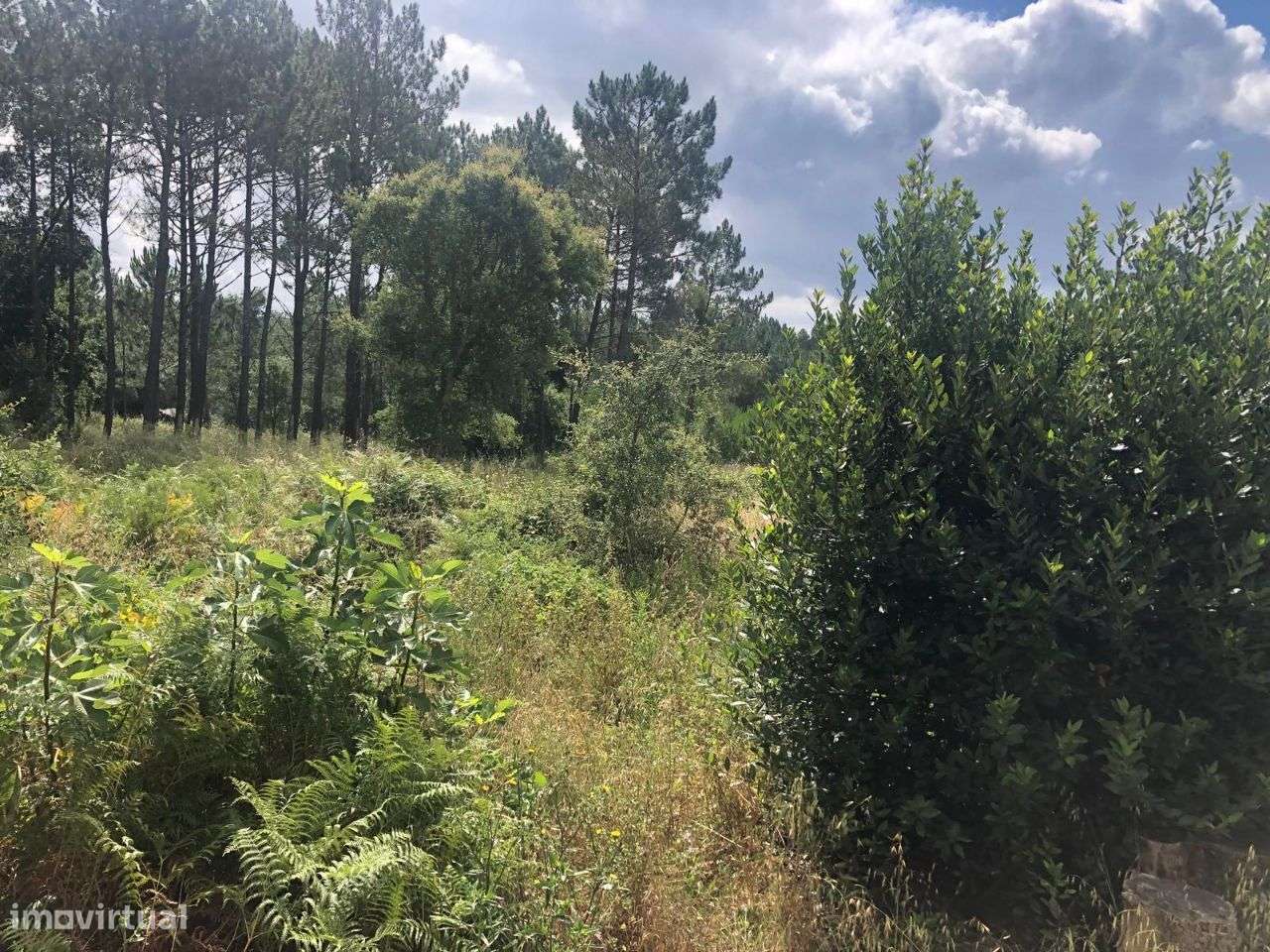 Terreno urbanizável em Ferraria de Pataias-5