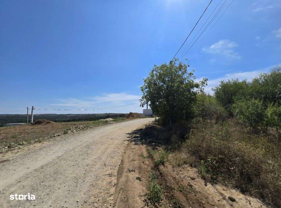 Teren Paleu Intravilan - Imagine principală: 1/6