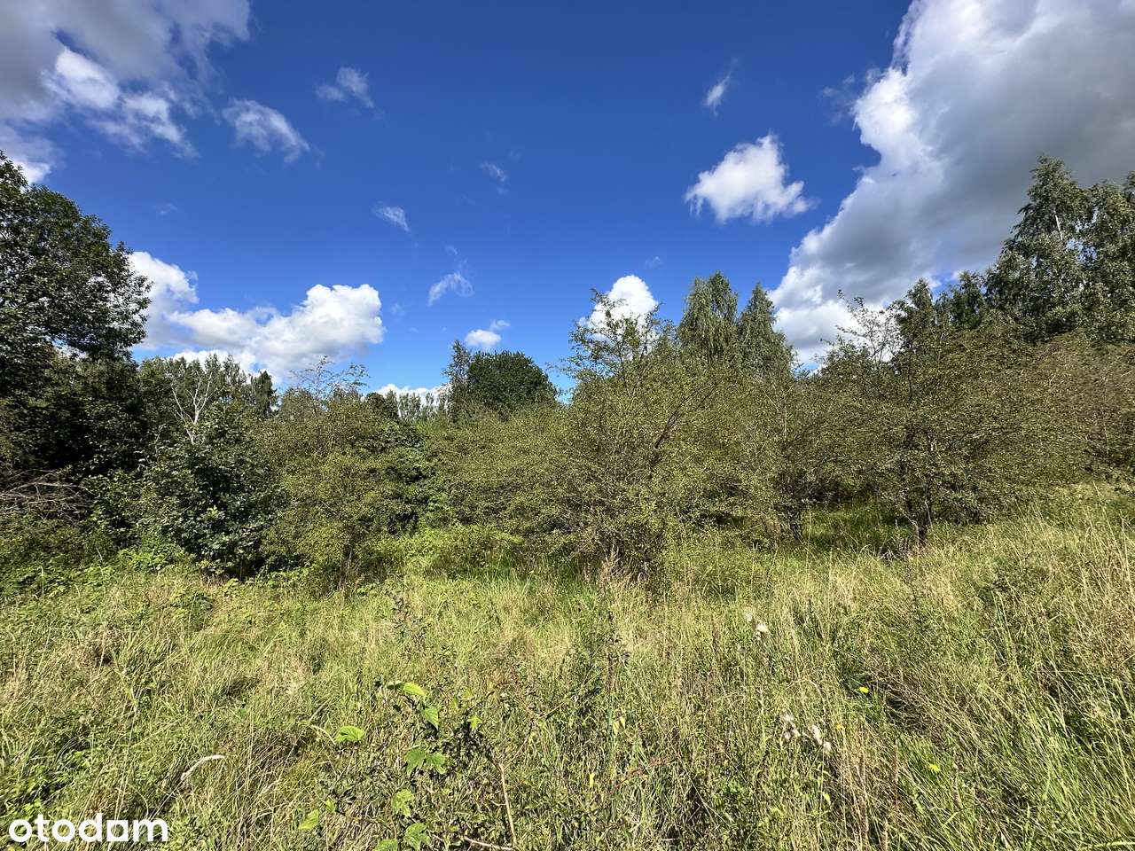 NOWA CENA | Działka przy Jeziorze Tałty - Stare Sady k. Mikołajek-5