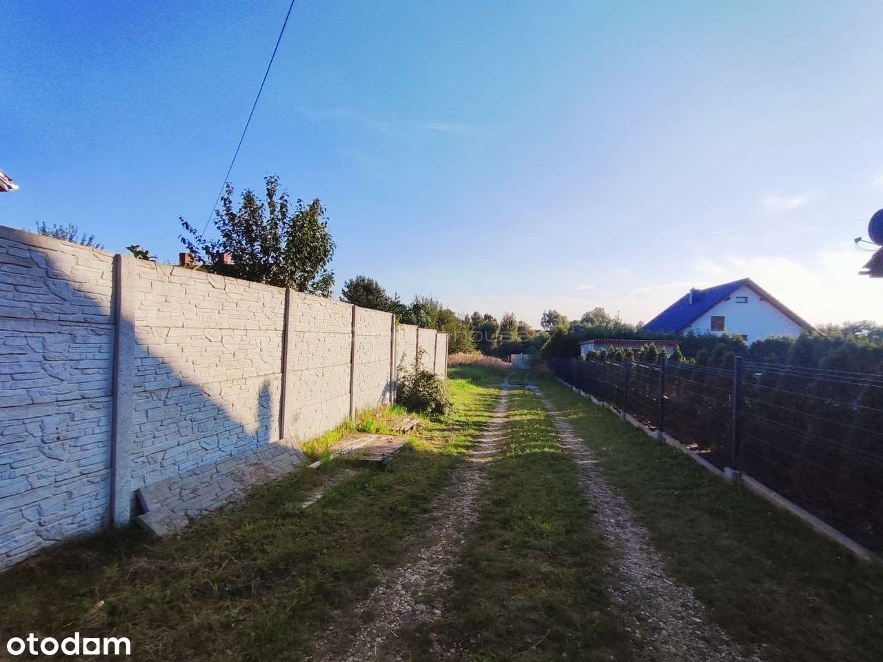 Działka w Radlinie  spokój, zieleń, szybki dojazd - Pełny obrazek: 5/7