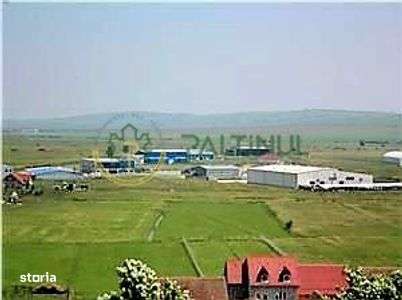 Teren de vanzare 13 euro mp,  6.000 mp - Parcul Industrial Sura Mica S - Imagine principală: 2/4