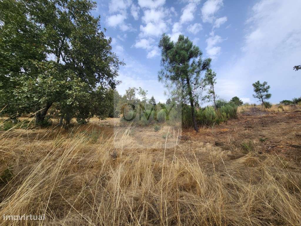 Terreno de 5.600 m2 com Viabilidade de Construção - Grande imagem: 3/8