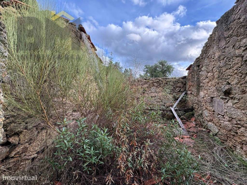 Quinta com 13.750m2 para venda em Cafede! - Grande imagem: 5/15