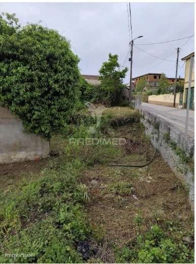 Casa em Xisto para Restauro - Grande imagem: 3/8